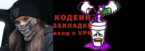 прущий лед Богданович