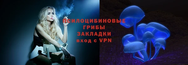 прущий лед Богданович