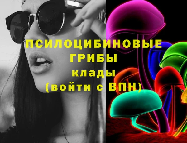 прущий лед Богданович