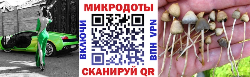 Галлюциногенные грибы Magic Shrooms Бодайбо
